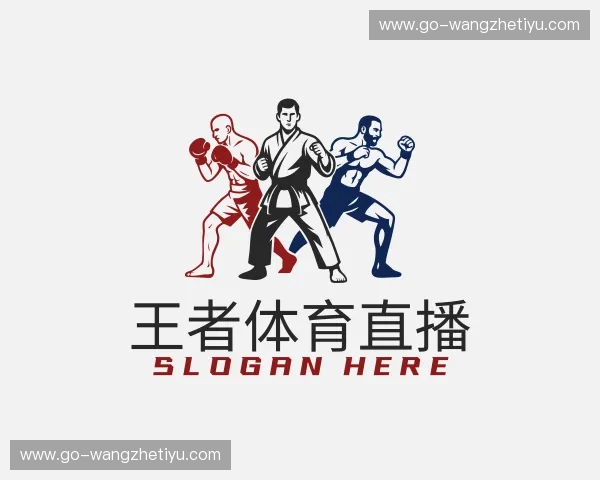 关于王者体育直播